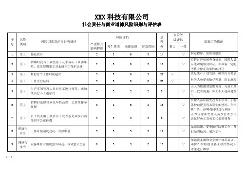 社会责任与商业道德风险调查识别与评估表