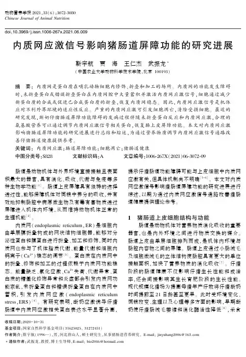 内质网应激信号影响猪肠道屏障功能的研究进展