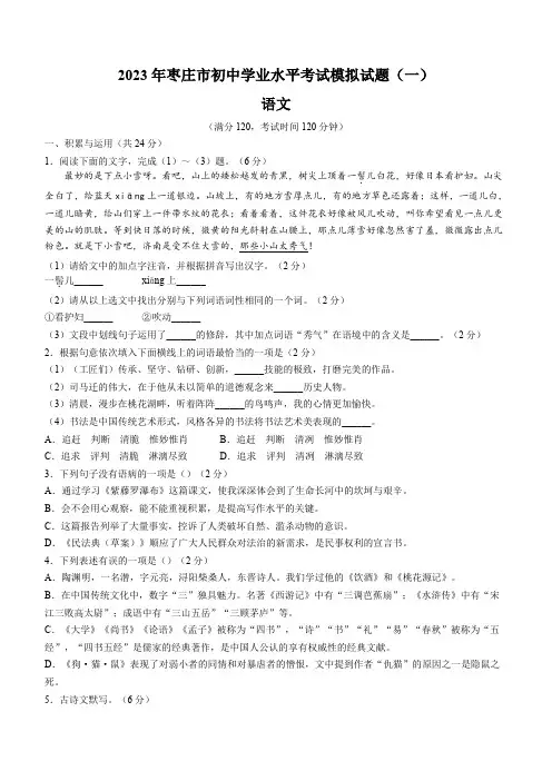 2023年山东省枣庄市中考模拟(一)语文试题