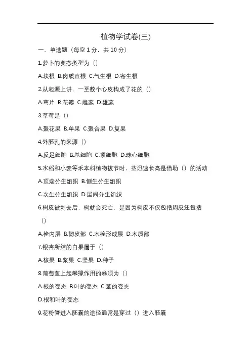 植物学期末试卷5