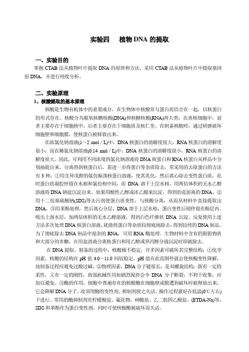 实验四   植物DNA的提取