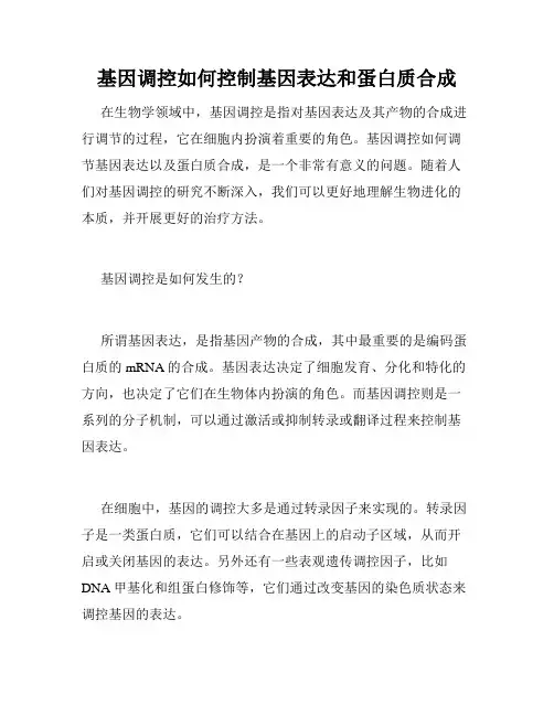 基因调控如何控制基因表达和蛋白质合成