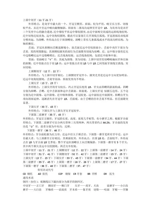 上颌中切牙