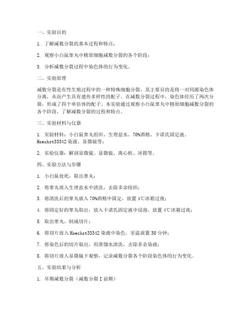小白鼠减数分裂实验报告