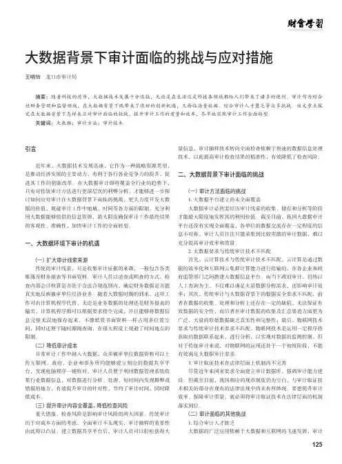 大数据背景下审计面临的挑战与应对措施