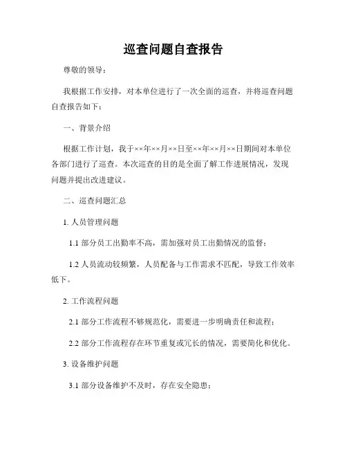 巡查问题自查报告