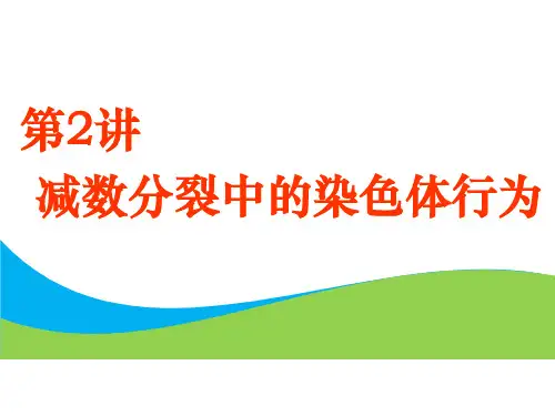 高考总复习《生物》减数分裂中的染色体行为ppt课件