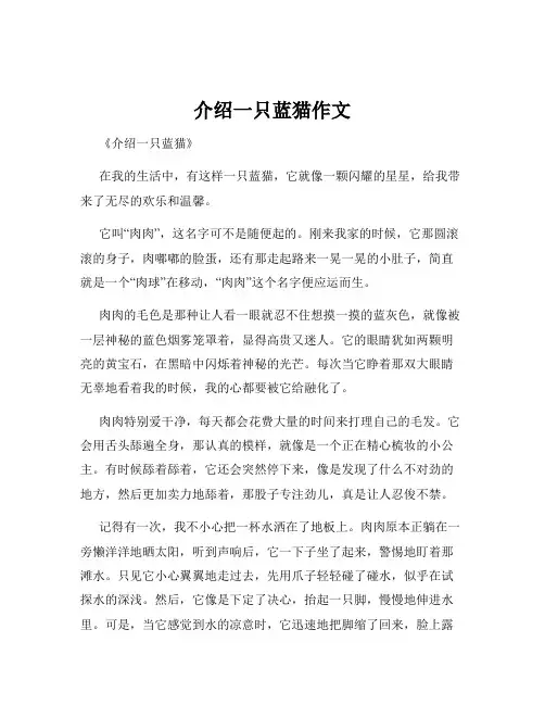 介绍一只蓝猫作文