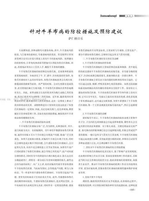 针对牛羊布病的防控措施及预防建议