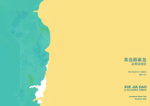 COX薛家岛及周边地区概念规划
