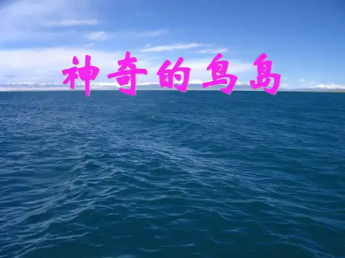 《神奇的鸟岛》PPT课件