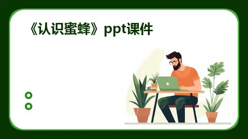 《认识蜜蜂》ppt课件