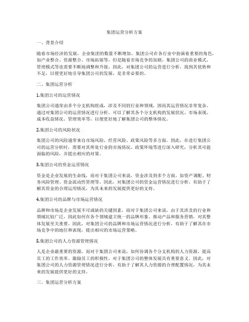 集团运营分析方案