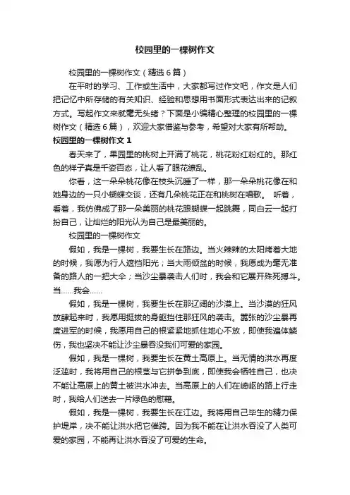 校园里的一棵树作文