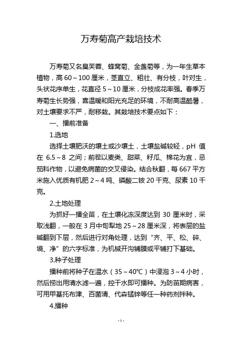 万寿菊高产栽培技术