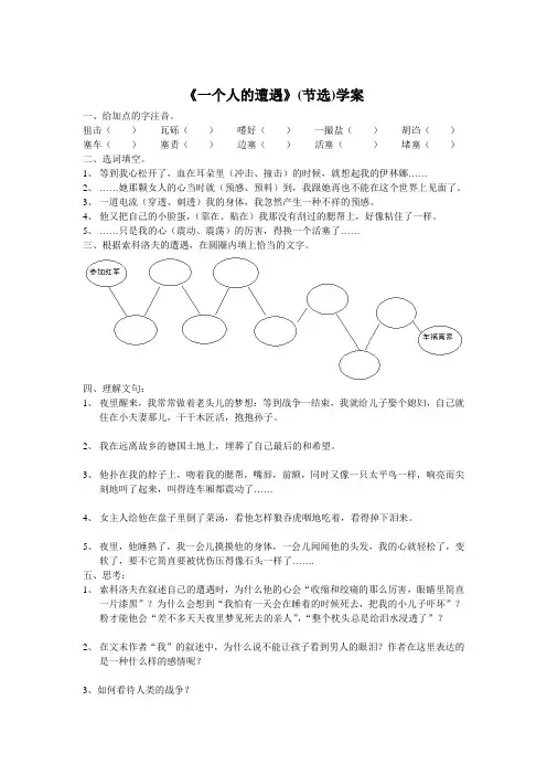 苏教版必修二《一个人的遭遇》练习题