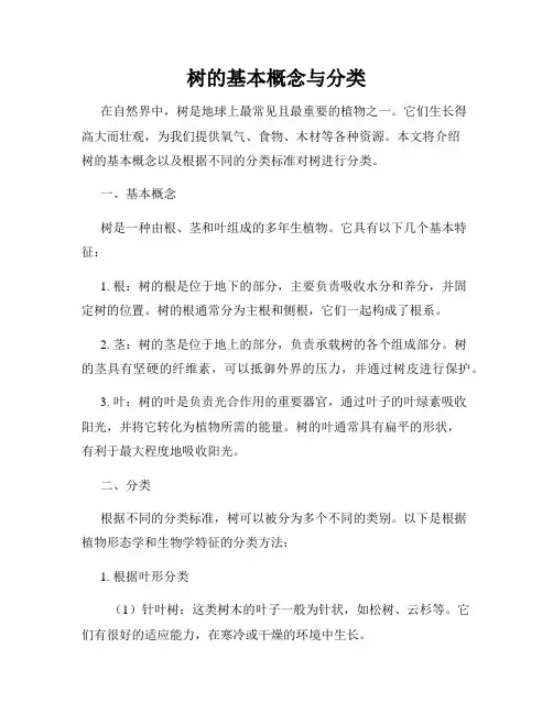 树的基本概念与分类