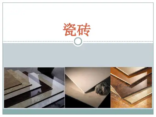 瓷砖介绍 PPT课件