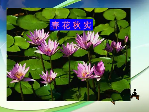 建筑工人人身意外伤害保险 (B)