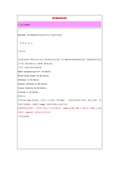 蛋白操作相关试剂