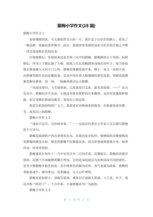 腊梅小学作文(15篇)