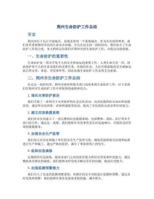 荆州生命防护工作总结