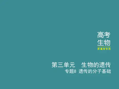 高考二轮复习遗传的分子基础课件(40张)