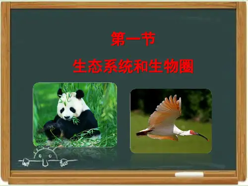 苏教版高中生物必修三《生态系统和生物圈》复习课件-新版