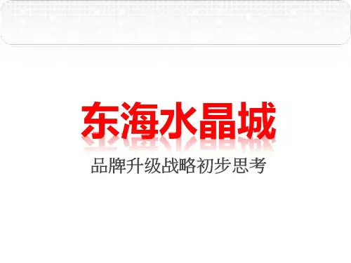 东海水晶市场策划方案