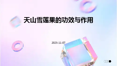 天山雪莲果的功效与作用