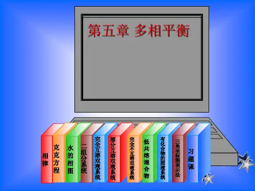 物理化学课件第五章 多相平衡
