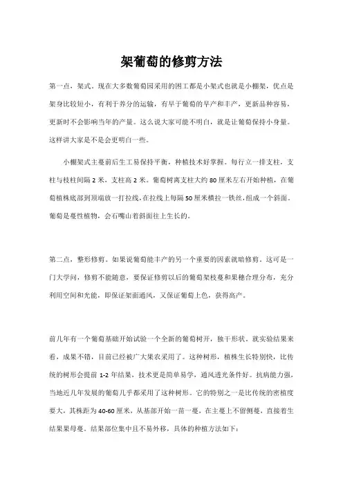 架葡萄的修剪方法