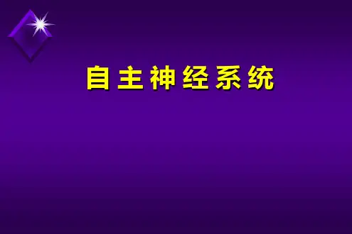 自主神经系统 PPT课件