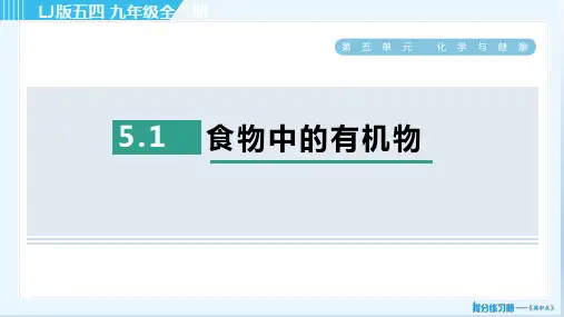 2022秋鲁教五四版九年级化学 全典中点 第5单元 习题课件