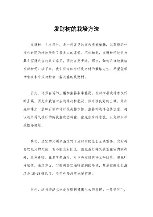 发财树的栽培方法