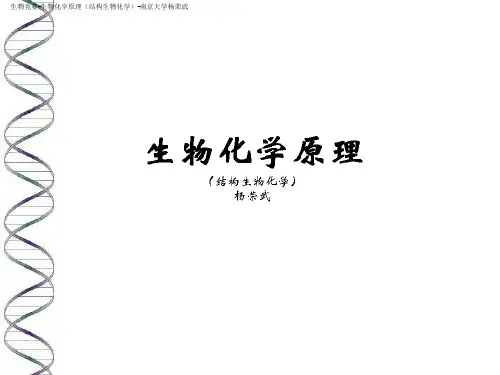 2019生物竞赛-生物化学-05核苷酸-杨荣武《生物化学原理(一)》(17页)