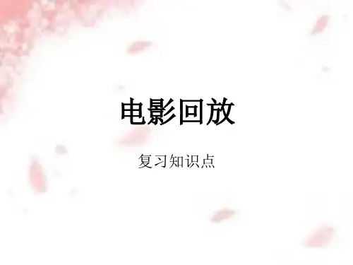 夹豆子