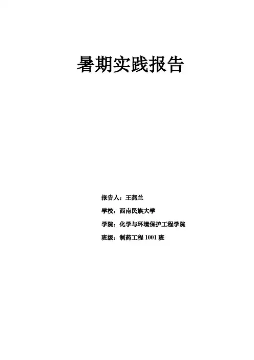 暑期实践报告