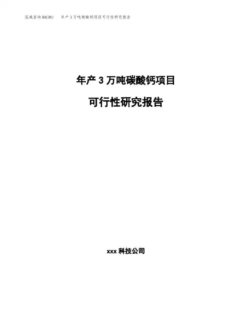 年产3万吨碳酸钙项目可行性研究报告参考范文
