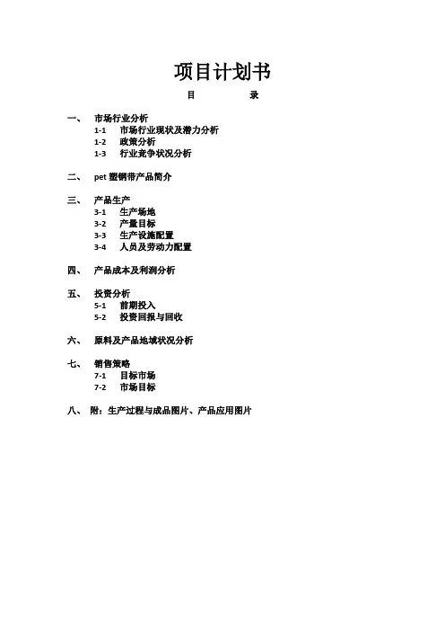pet塑钢带项目书