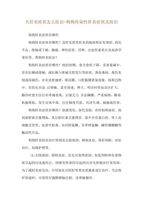 犬肝炎症状怎么医治-狗狗传染性肝炎症状及防治