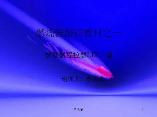燃烧器程控器培训教材ppt课件