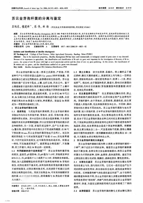 苏云金芽孢杆菌的分离与鉴定