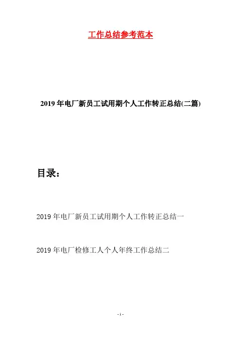 2019年电厂新员工试用期个人工作转正总结(二篇)