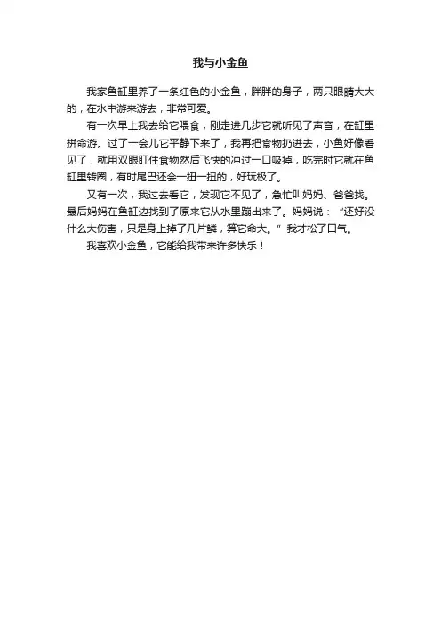 我与小金鱼