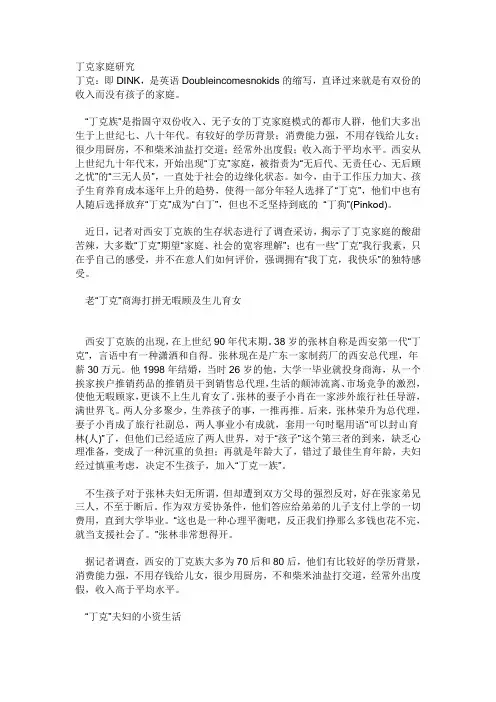 丁克家庭研究