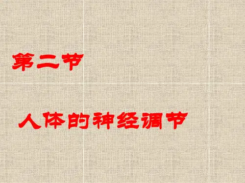 人体的神经调节课件(苏教版)