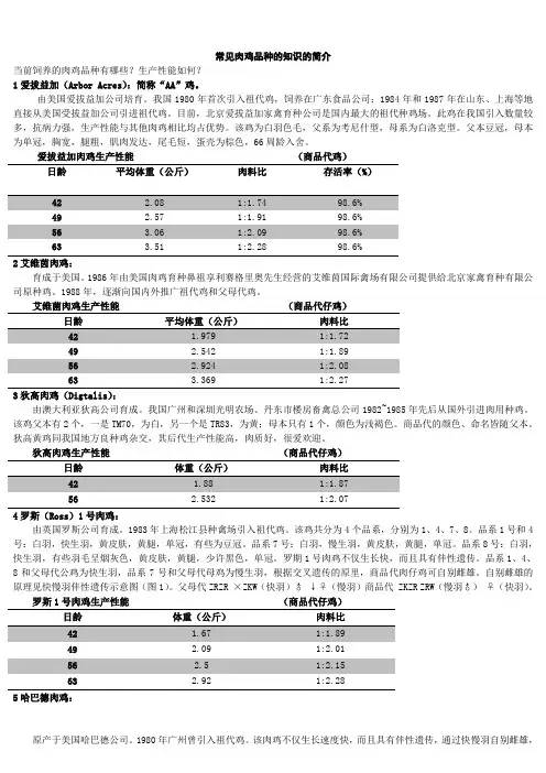 常见肉鸡品种的知识的简介