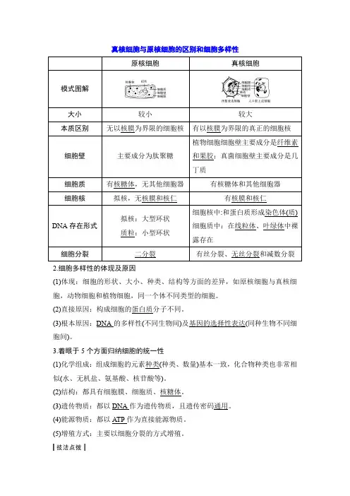 真核细胞与原核细胞的区别和细胞多样性
