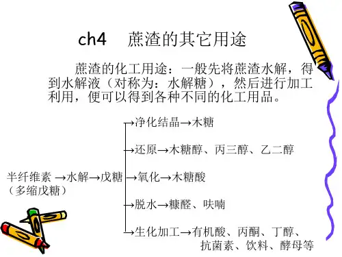 ch4    蔗渣的其它用途
